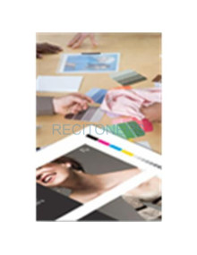 Papeleria C13S042002 EPSON - Epson GF Papel Proofing White Semimatte, 13” x 15.2m, 256g
