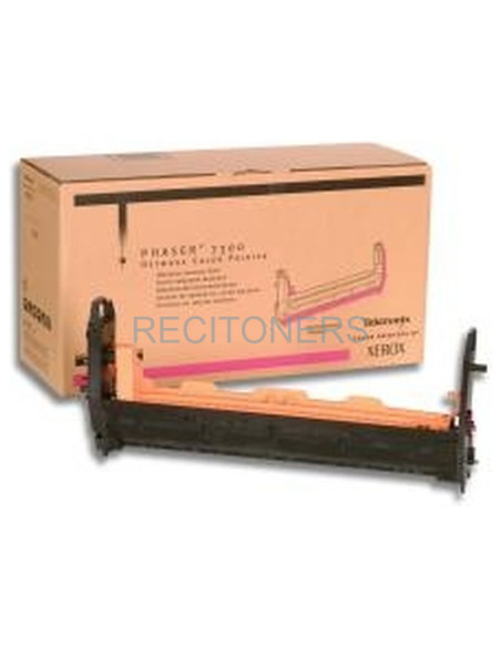 Tambor 16199400 XEROX - XEROX Tambor TEKTRONIX Phaser 7300 Magenta
