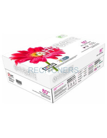 Papeleria HYBRITE HYBRITE - HYBRITE PAPEL A3 80GR PAQUETES DE 250 HOJAS - ( 1 CAJA 5 PAQUETES)