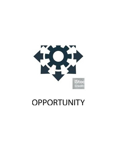 Papeleria OPPORTUNITY PAPEL 80GR OPPORTUNITY - OPPORTUNITY PAPEL VIRTUAL DIN A4 80 GR. PALET-240U-