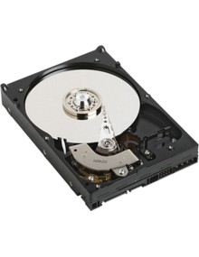 Disco DELL SE30273132 - DELL NPOS - to be sold with Server only - 1TB 7.2K RPM SATA 6Gbps 512n 3.5in Cabled Hard Drive