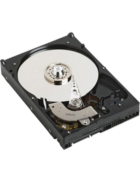 Disco DELL SE30273132 - DELL NPOS - to be sold with Server only - 1TB 7.2K RPM SATA 6Gbps 512n 3.5in Cabled Hard Drive
