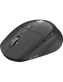 Periferico NATEC PE21415313 - NATEC Kite raton Oficina Mano derecha RF Wireless + Bluetooth Optico 4000 DPI