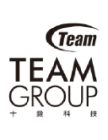 Memoria RAM TEAM GROUP TED48G3200C2201 - Memoria ram teamgroup elite ted48g3200c2201 8 gb ddr4 3200 mhz 2