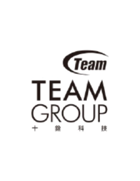 Disco TEAM GROUP TM8FPK500G0C101 - Ssd team mp44l m.2 500gb pcie g4x4 2280