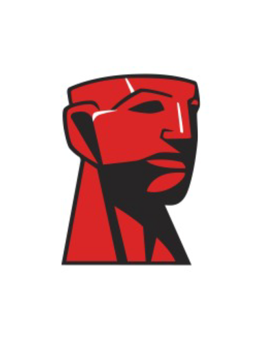 Memoria RAM KINGSTON KF556C36BBEK2-16 - Memoria kingston fury beast 16gb ddr5 5600 (2x 8 gb) dual-kit, kf556c36bbek2-16