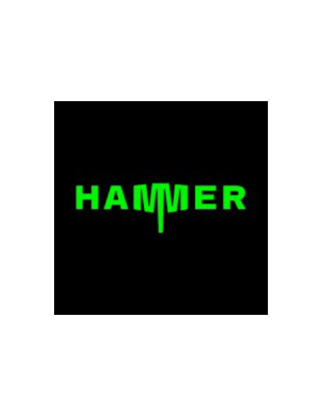 Smartphone HAMMER TEL001066 - Smartphone rugerizado hammer energy x2 5g 8gb 256gb 6 " negro naranja