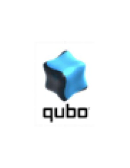 Smartphone QUBO P-220BKC 4G - TELeFONO MoVIL QUBO P-220BKC 4G PARA PERSONAS MAYORES/ NEGRO