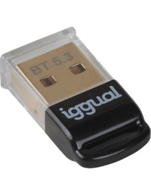 Accesorio IGGUAL IGG319383 - iggual Adaptador USB 2.0 mini Bluetooth 5.3