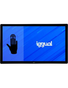 Monitor IGGUAL IGG318966 - iggual Monitor LED tactil capacitivo FHD 43" IP65