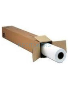 Papeleria C13S045151 EPSON - EPSON GF Papel Crystal Clear Film, 17” x 30.5m, 120g