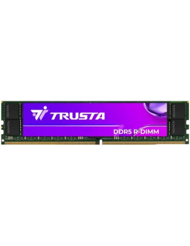 Memoria RAM A-DATA TR5R128GS64A404HM-22 - ADATA TR5R128GS64A404HM-220 128G 6400M DDR5 RDIMM