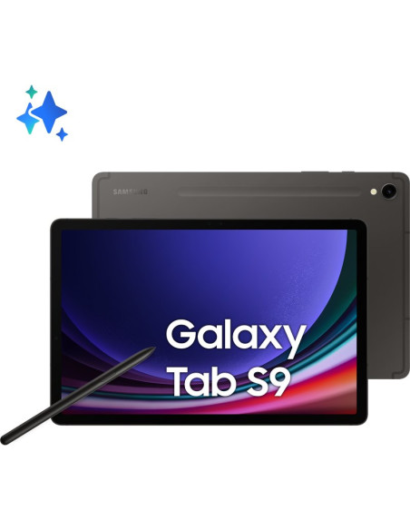 Tablet SAMSUNG SAMSU-8806095084039 - Tablet samsung tab s9 wifi only 256gb/12gb graphite eu