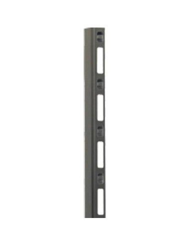 Redes 2LAN PSV42U - 2LAN Pasacable Vertical 187cm Armarios 42U