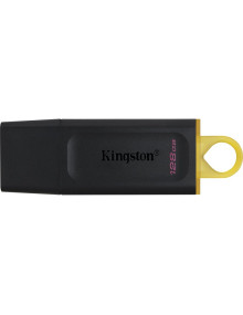 Accesorio KINGSTON DTX/128GB - Mem. USB 3.2 128GB -Kingston- DataTraveler DTX*