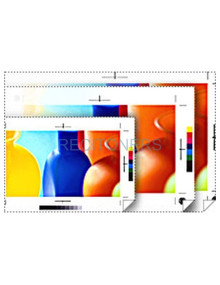 Papeleria C13S041997 EPSON - Epson GF Papel Proofing Publication, 17”” x 30.5m, 198g