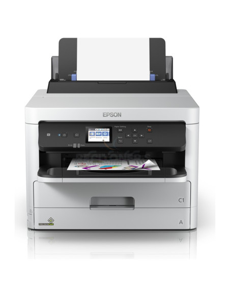 Cartucho de tinta C13T01D100 EPSON - CARTUCHO BOLSA NEGRO EPSON T01D1 XXL