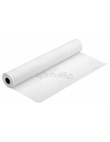 Papeleria C13S045083 EPSON - Epson GF Papel Matte Backlit Film, 24” x 30.5m 280gr