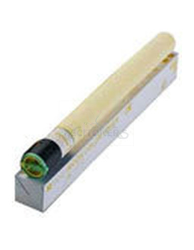Toner 887921 RICOH - RICOH Toner AFICIO 3006/3506/4006/4106/4506 Amarillo