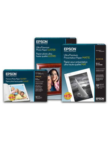 Papeleria C13S042118 EPSON - Epson GF papel Proofing White Semimatte, A3+, 100h, 256g