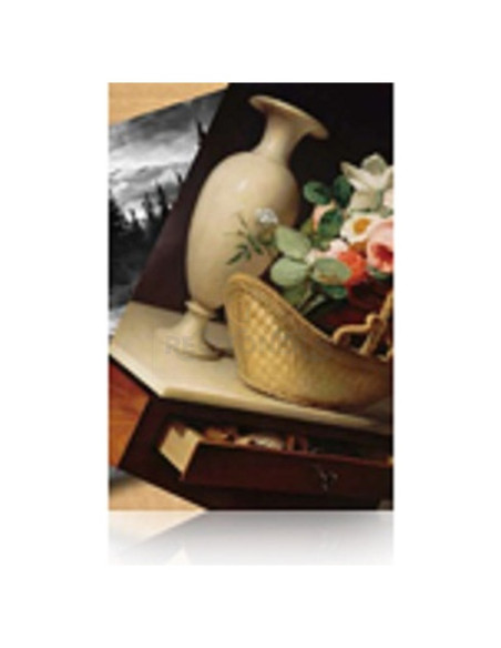 Papeleria C13S042134 EPSON - Epson GF Papel Premium Luster Photo, 60” X 30.5m - 260 g/m2