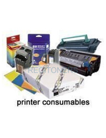 Papeleria C13S041616 EPSON - Epson GF Papel Enhanced Synthetic, 44” x 40m, 84g