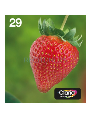 Epson Strawberry Multipack 4-colours 29 EasyMail Negro