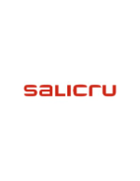 Sai SALICRU 1402981 - Salicru SPS SAFE 6S