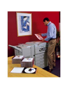 Papeleria DK11203 BROTHER - BROTHER ETIQUETAS PRECORTADAS PARA CARPETAS 17X87MM (300 ETIQUETAS)