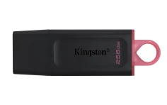 Kingston Technology DataTraveler Exodia unidad flash USB 256 GB USB tipo A 3.2 Gen 1 (3.1 Gen 1) Negro, Rosa