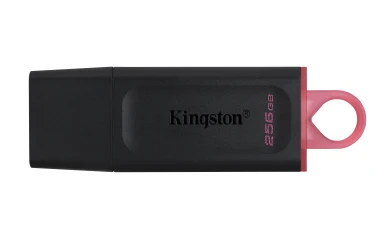 Kingston Technology DataTraveler Exodia unidad flash USB 256 GB USB tipo A 3.2 Gen 1 (3.1 Gen 1) Negro, Rosa