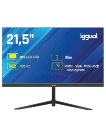 Monitor IGGUAL IGG320037 - iggual Monitor 21,5” IPS 1ms FHD 120Hz VGA HDMI DP