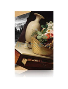 Papeleria C13S042134 EPSON - Epson GF Papel Premium Luster Photo, 60” X 30.5m - 260 g/m2